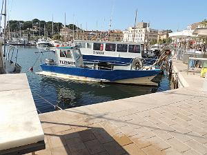 2024 11 02 EN FLANANT SUR SANARY (54)